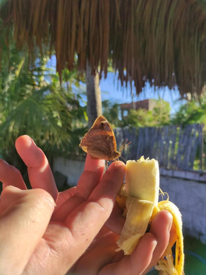 Vila Da Sereia Hostel E Pousada Icaraí Eksteriør bilde